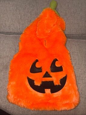 Plush Orange Pumpkin Dog Costume with hood and leash hole